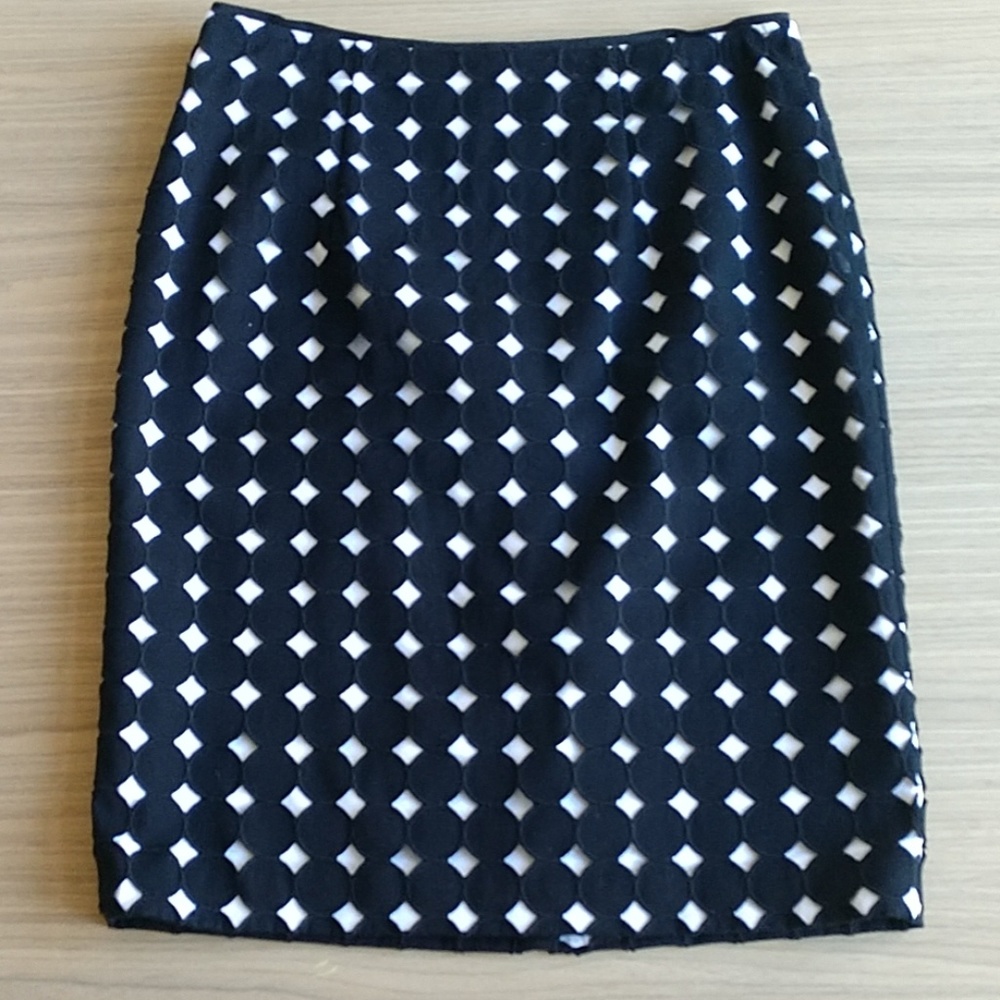 Beautiful WHBM skirt.  New without tags.